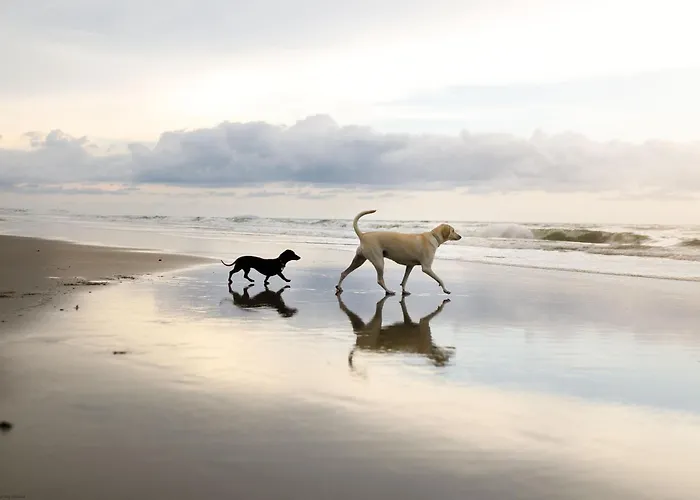 The Lookout At Semesterbostad